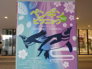 すみだ水族館のペンギンピクニックで光とペンギンのコラボを鑑賞