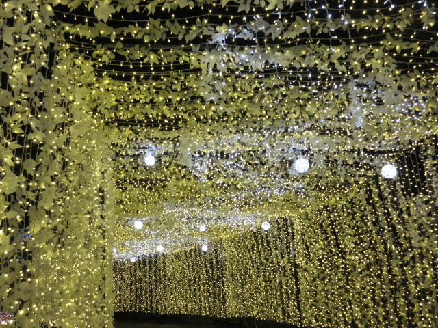 光の大トンネル