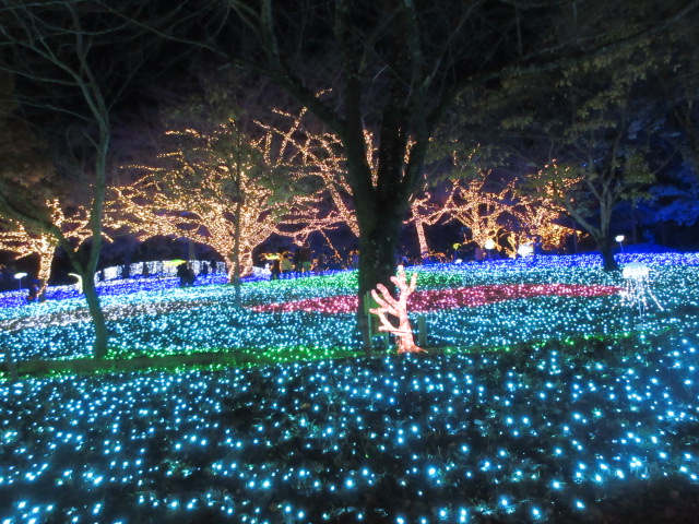 光の海の全体像