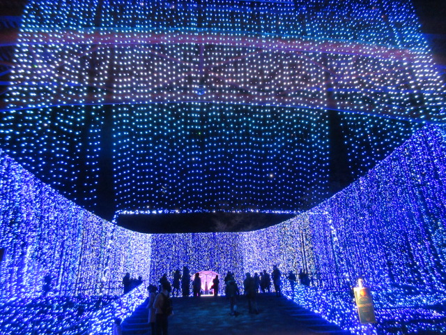 光のナイアガラの外観