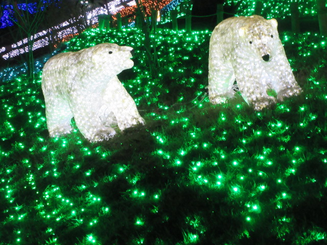 光の動物園のクマ