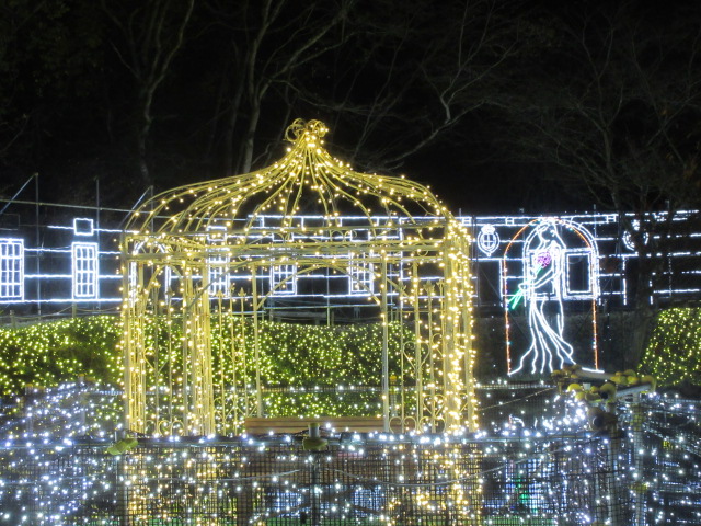 花畑の湖畔にあるカップルシート