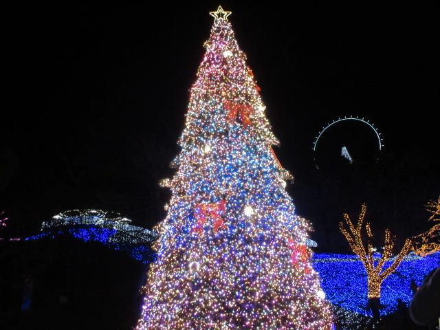 シンボリックツリー