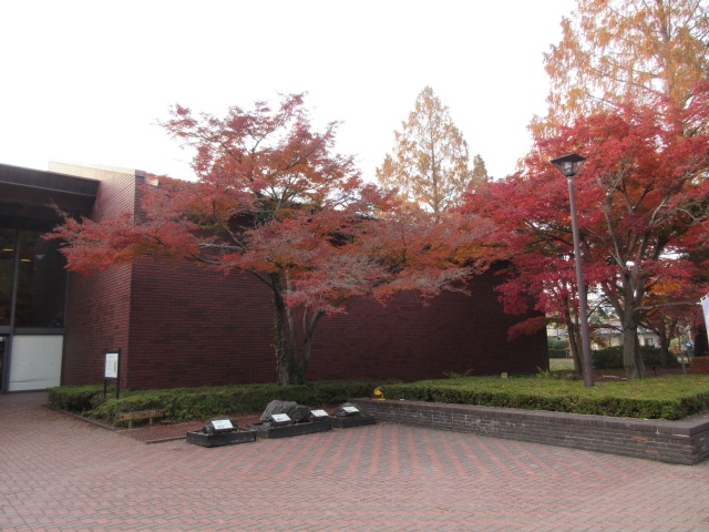 自然の博物館の外観と紅葉