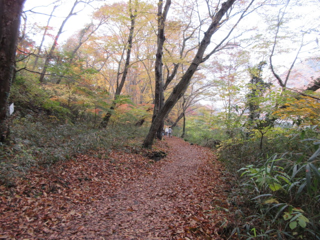 長瀞渓谷のハイキングコース
