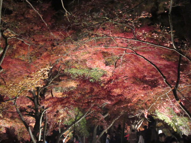 月の石もみじ公園の混雑状況