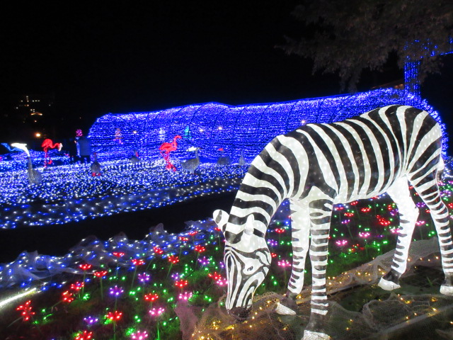 光のどうぶつえん