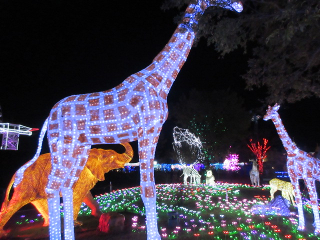 光のどうぶつえん