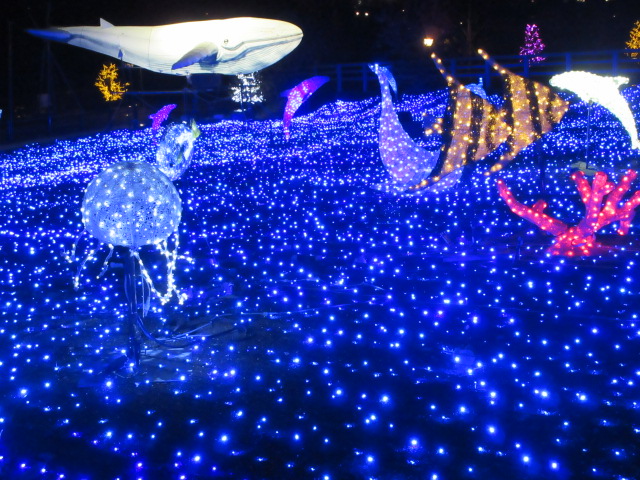 海のイルミネーション