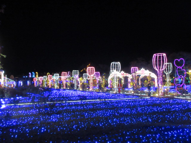 ブルーウェーブ