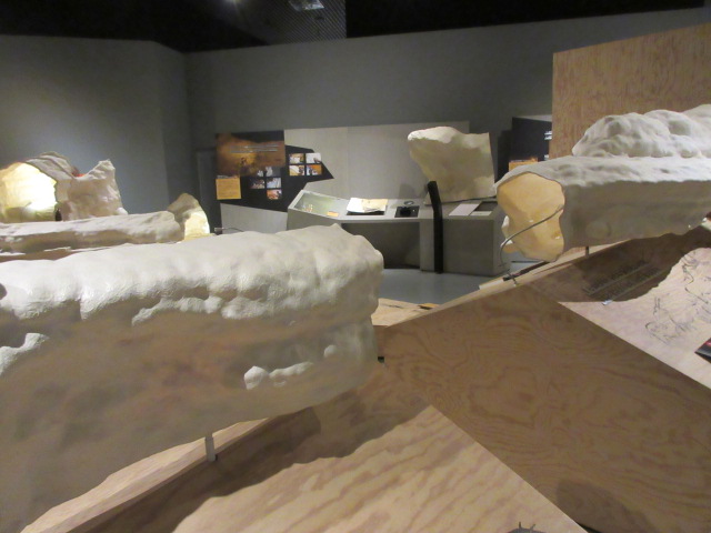 ラスコー洞窟再現模型