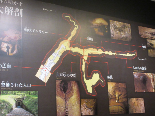 ラスコー洞窟全体図