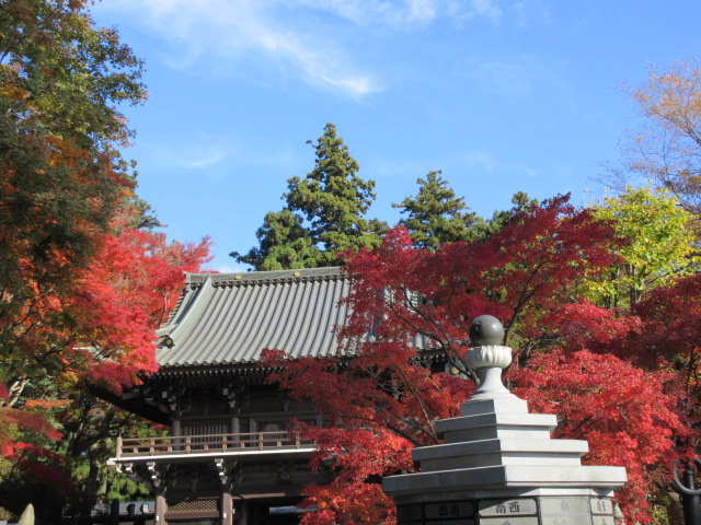 仁王門周辺の紅葉