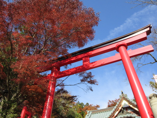 鳥居と紅葉