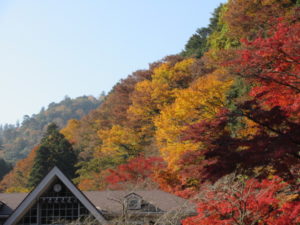 赤く染まる山道、富士山の絶景、美味しい蕎麦、全てがそろう高尾山に紅葉を見に行きました