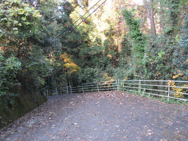 弁天橋へ向かうハイキングコース