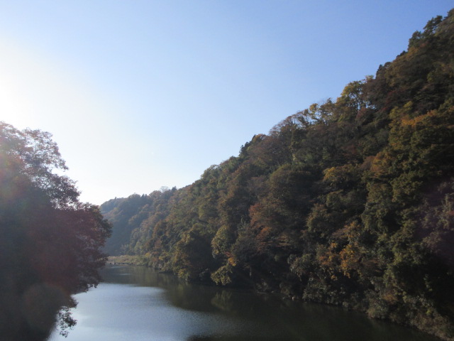 弁天橋から見える紅葉