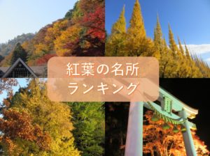 東京近郊のおすすめスポット、私が撮った写真つきで紅葉の名所ランキング