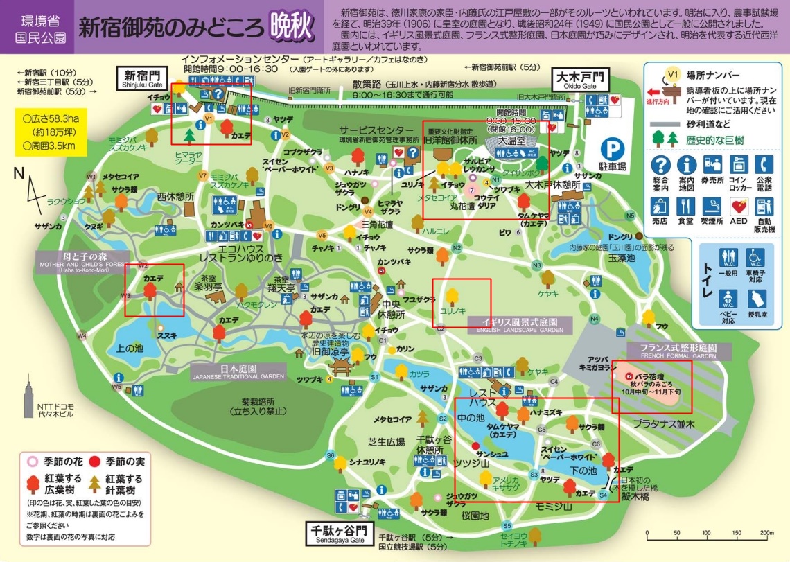 新宿御苑の紅葉マップ