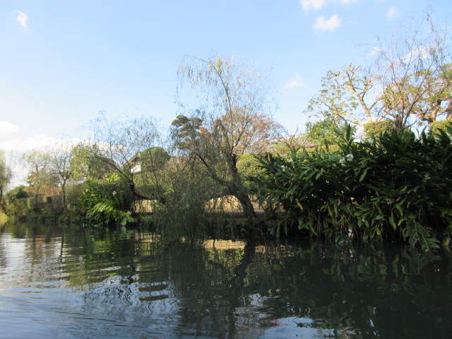 柳川の川下り