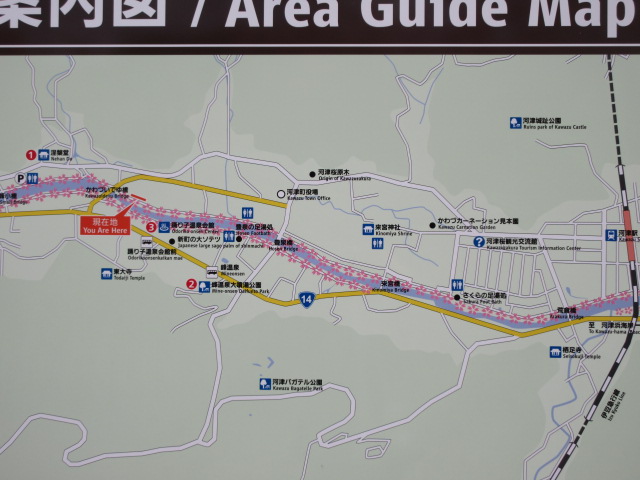 河津桜まつりのモデルコース