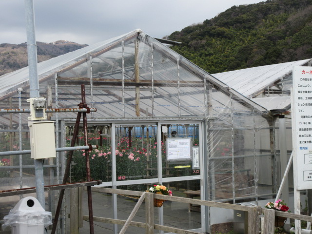 かわづカーネーション見本園