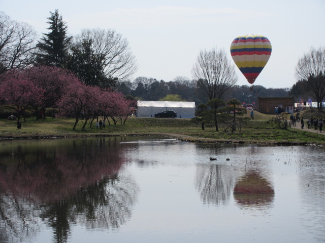 熱気球の搭乗体験