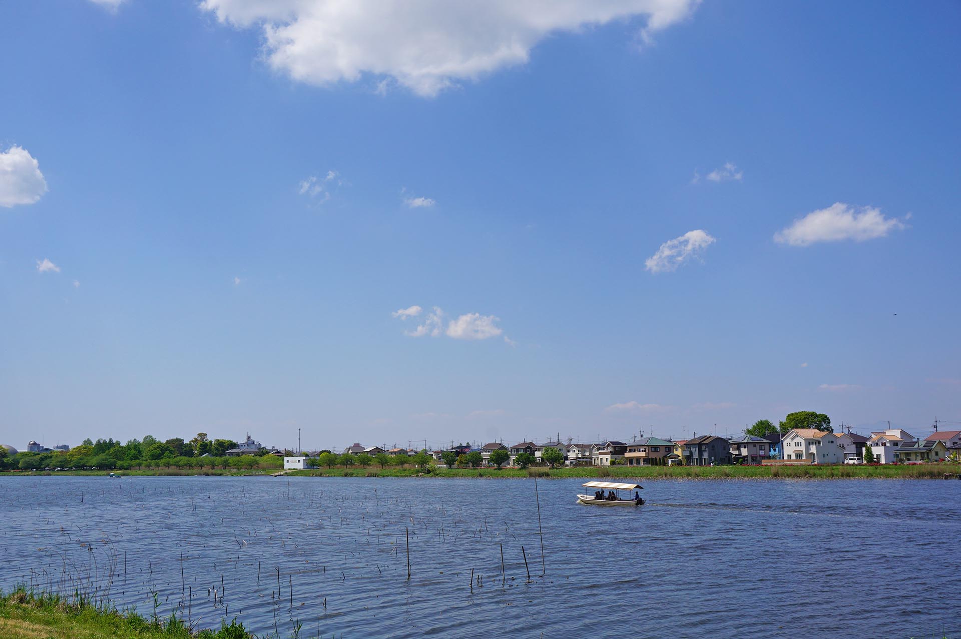 城沼の遊覧船