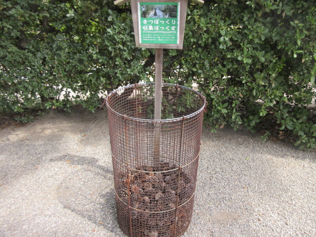 松ぼっくりの収集ボックス