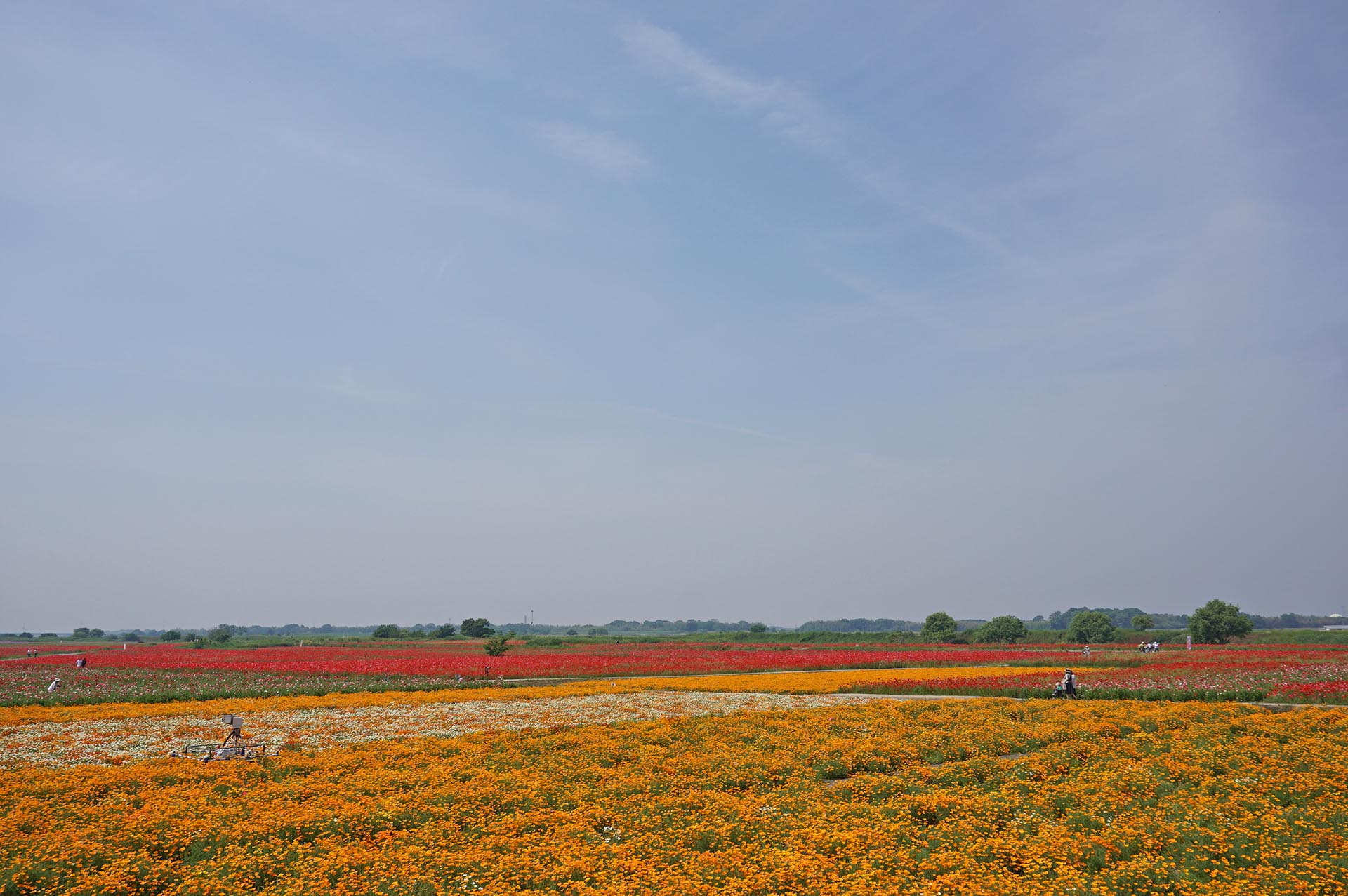 展望台からの絶景