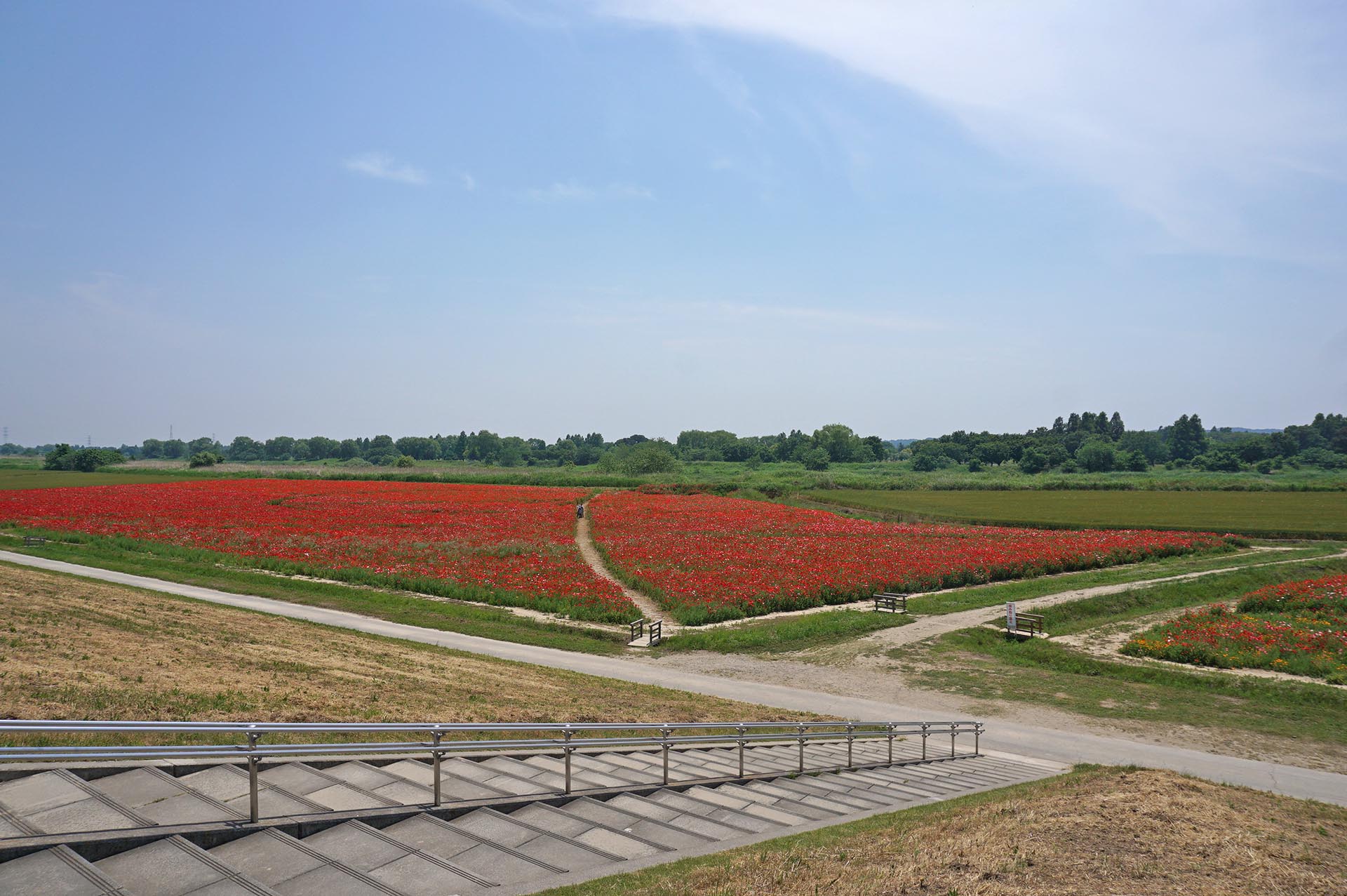 コスモスアリーナふきあげ