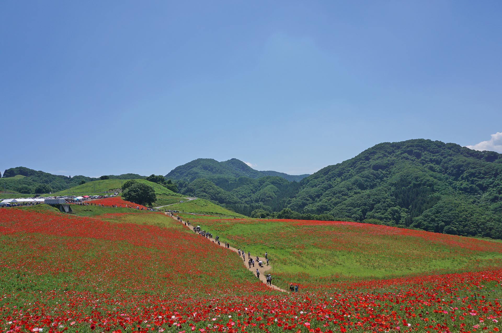 展望台からの風景