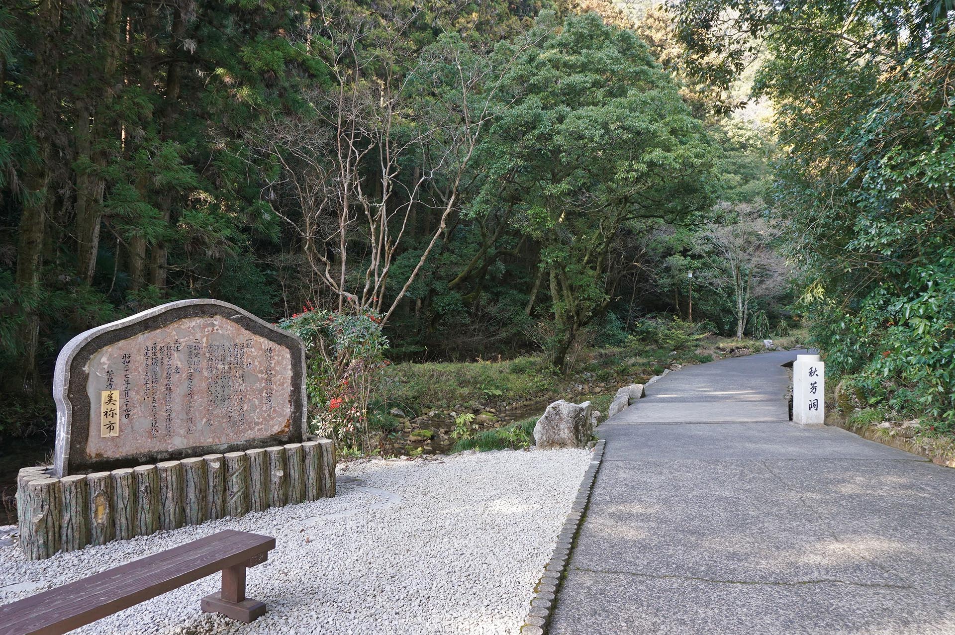 秋芳洞へ続く杉並木