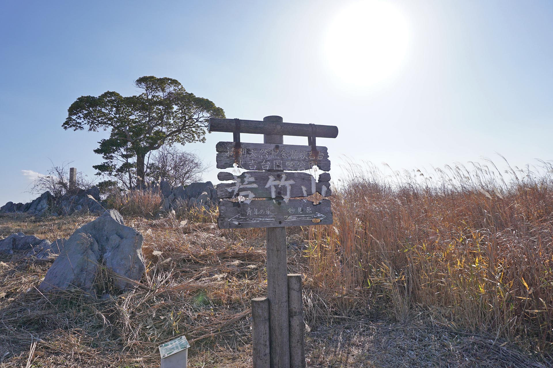 秋吉台の若竹山