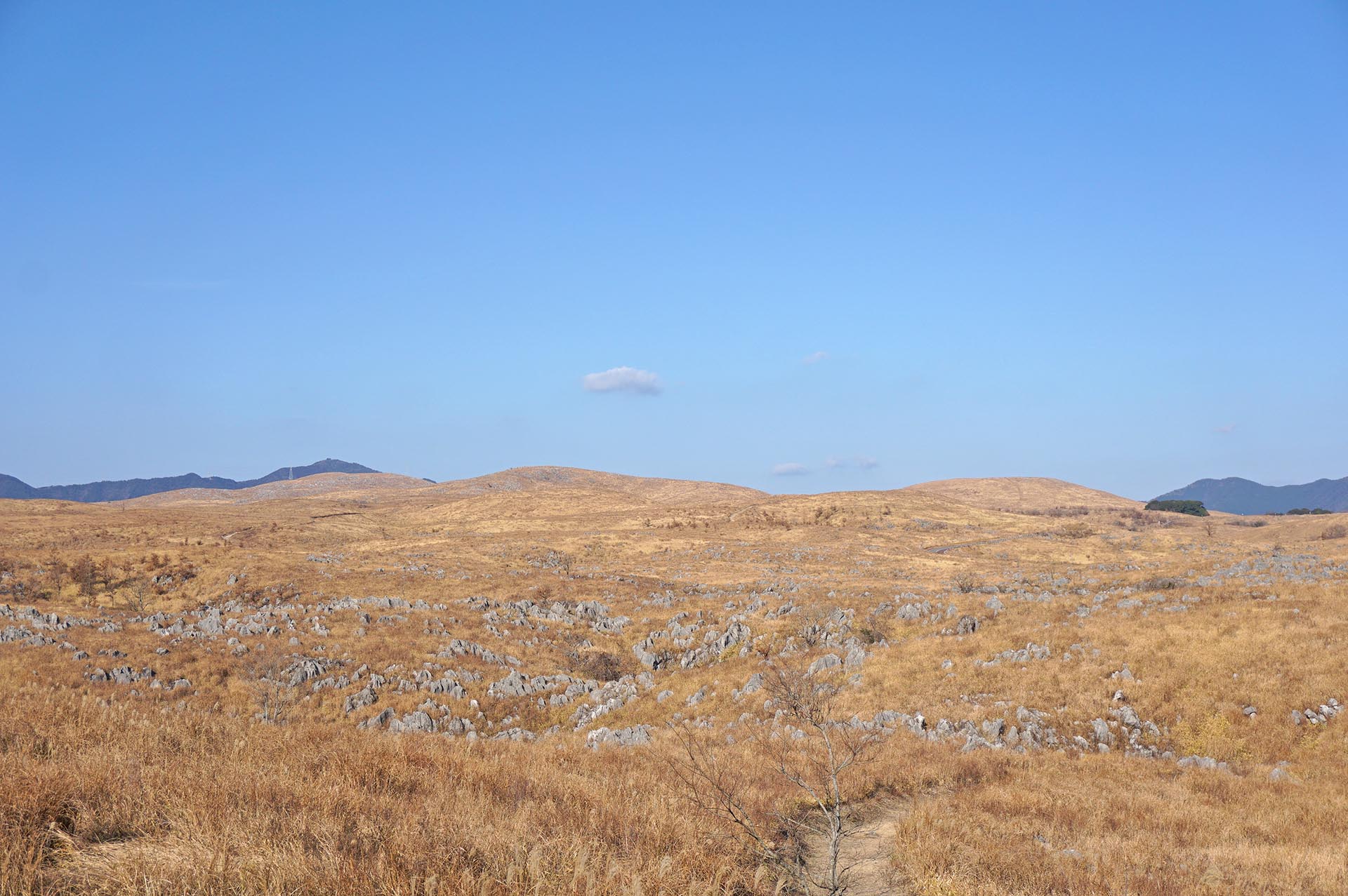 秋吉台の若竹山からの景色