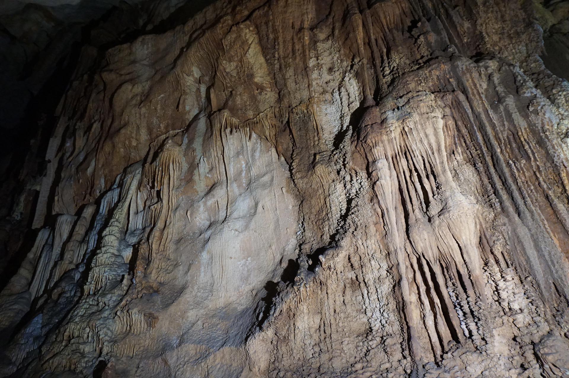 秋芳洞のくらげの滝のぼり