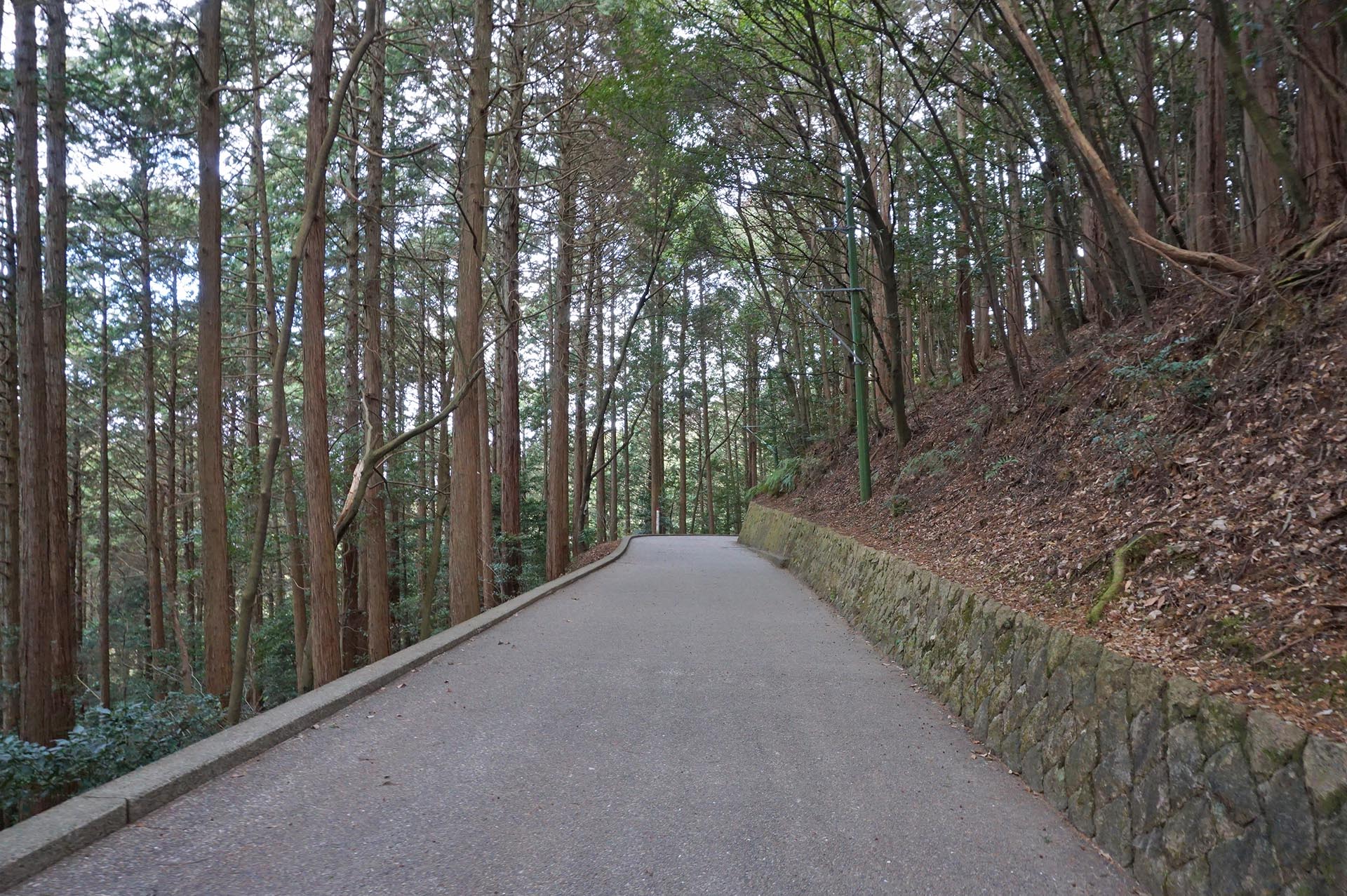 岩国城へ続く山道