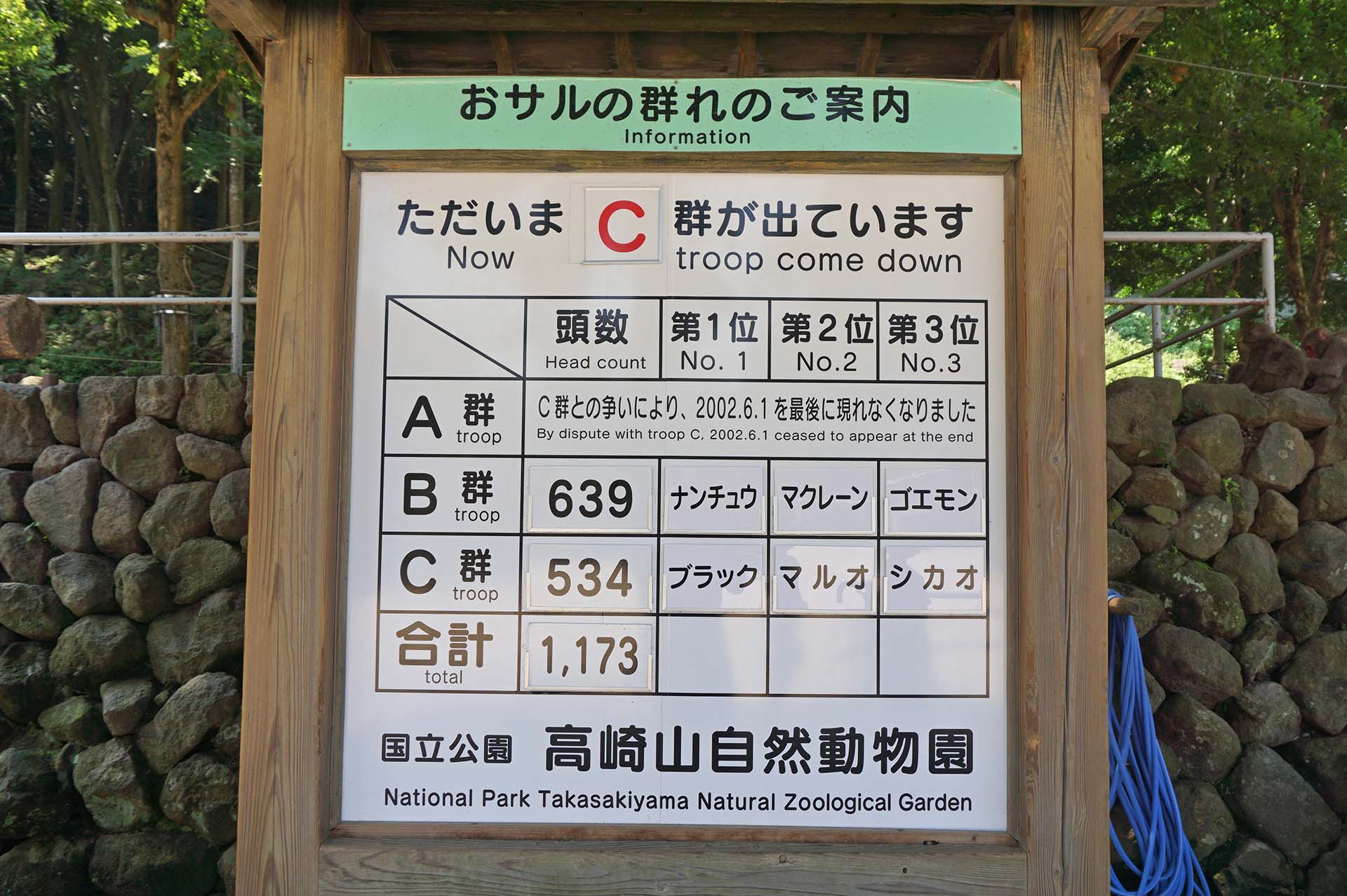 高崎山のサルの群れ