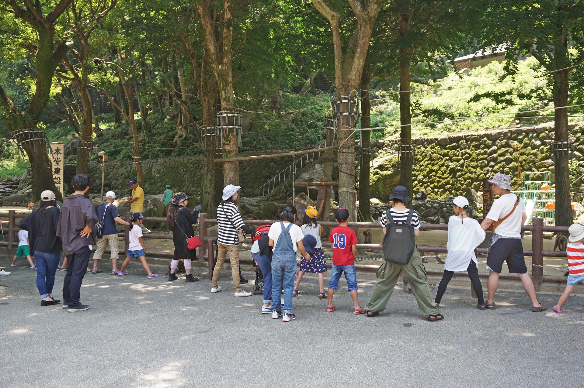 高崎山自然動物園のサルの股くぐり