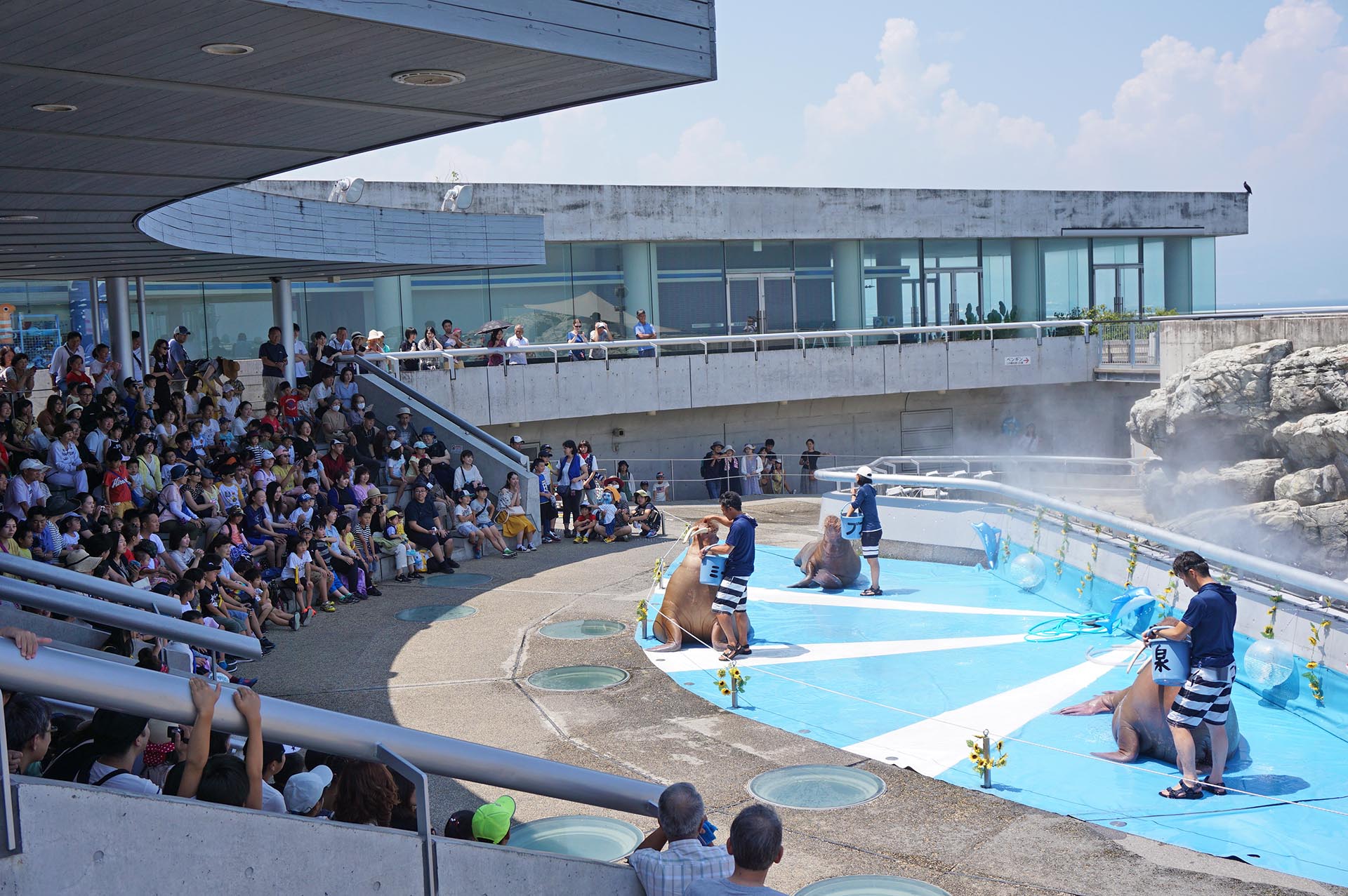 うみたまごのショー