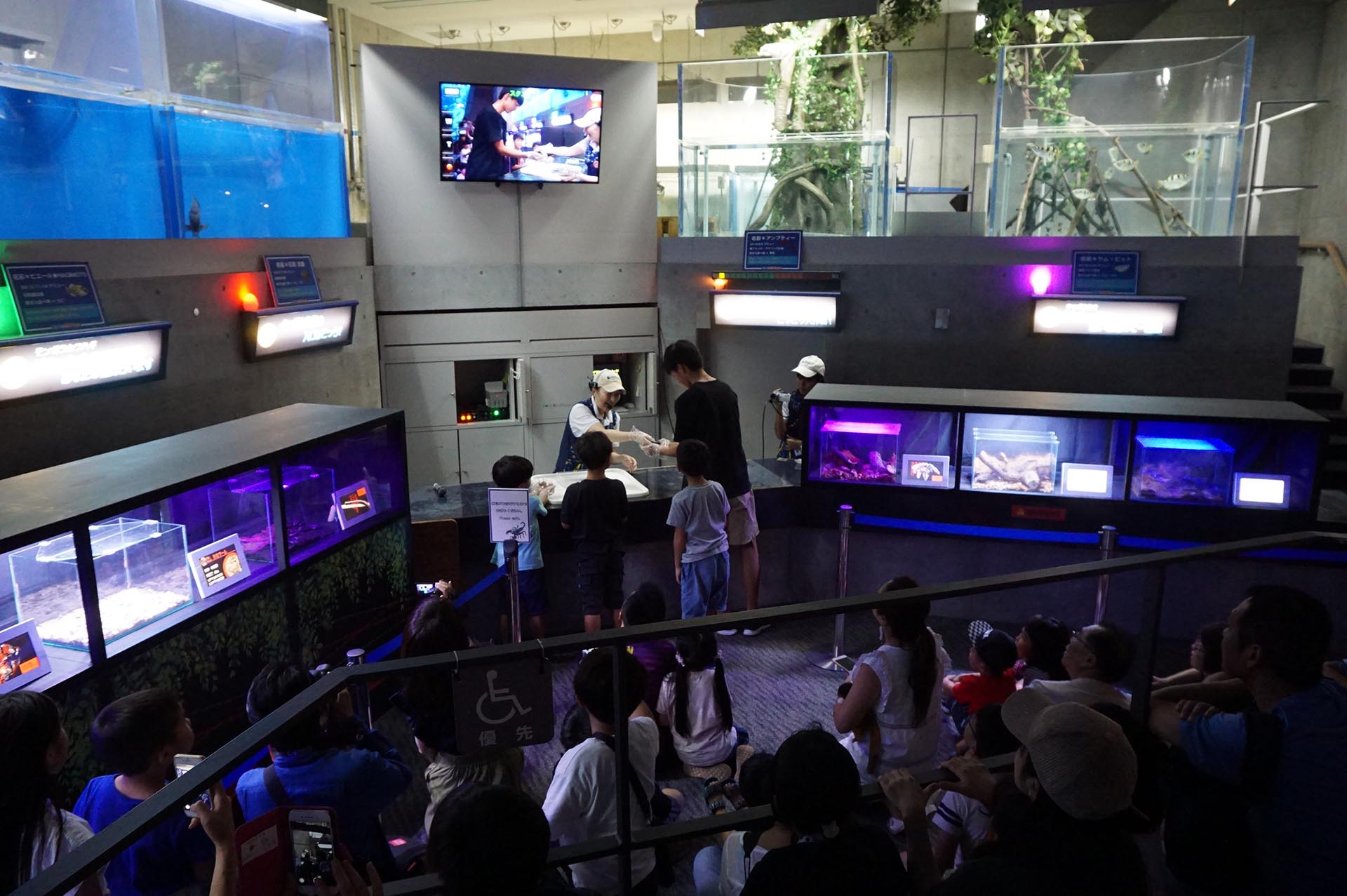 グロ生物・史上最恐ふれあいコーナー