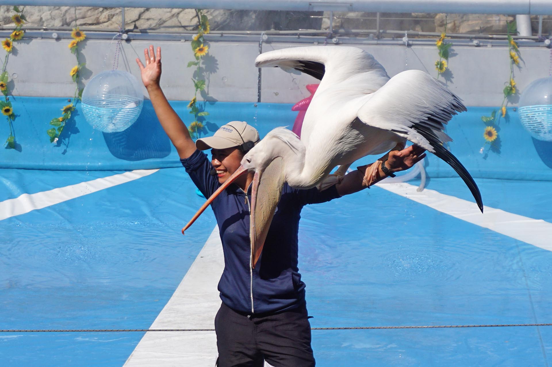 うみたまパフォーマンス