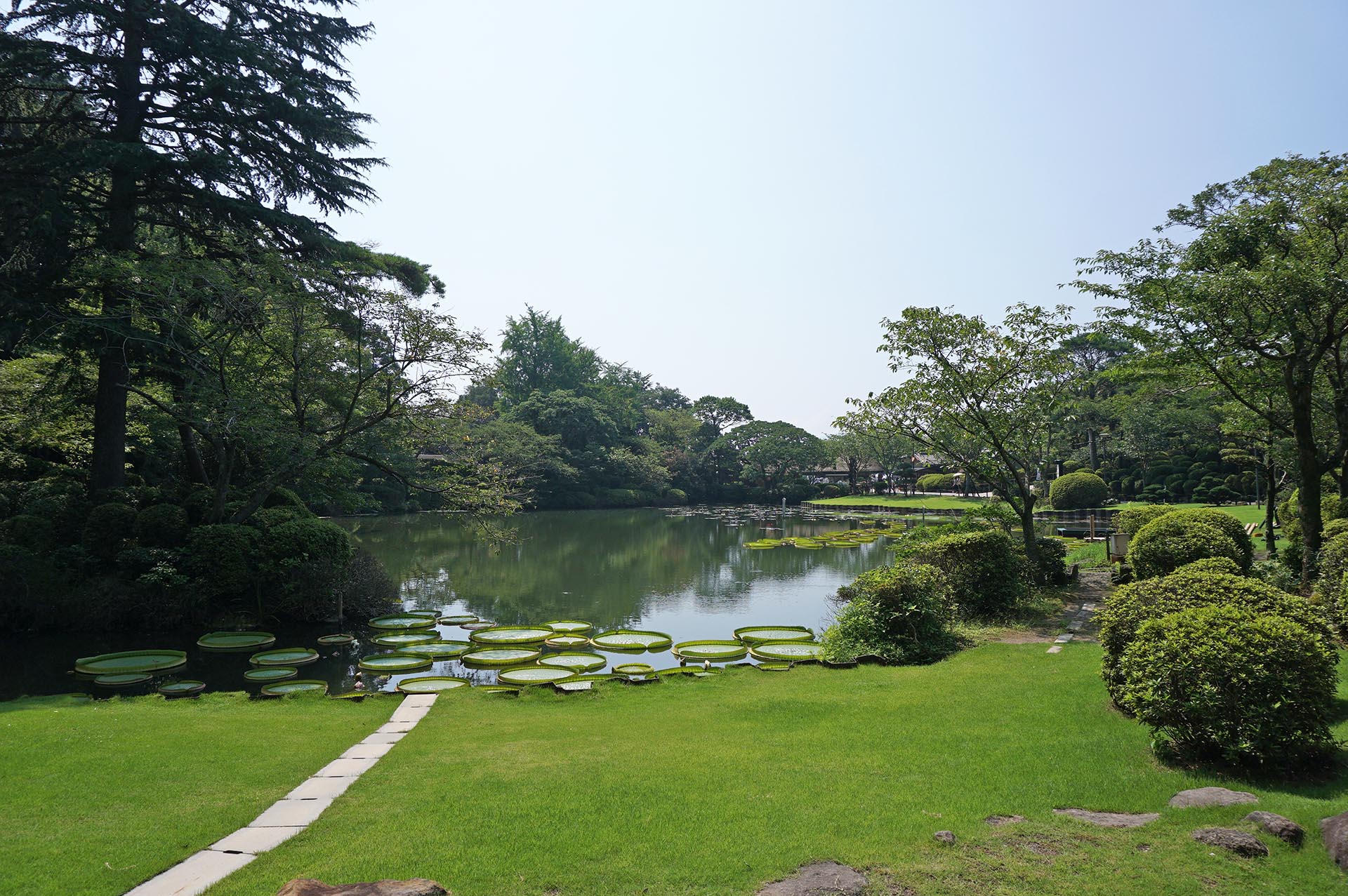 海地獄の池と大鬼蓮