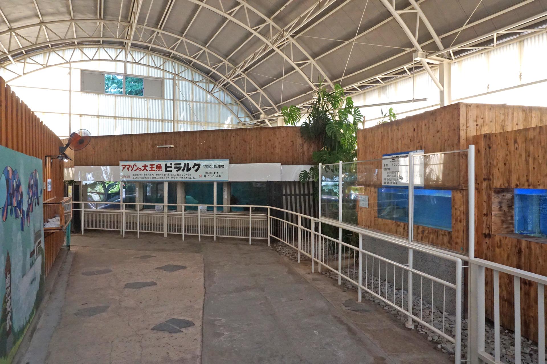 白池地獄のピラルク館