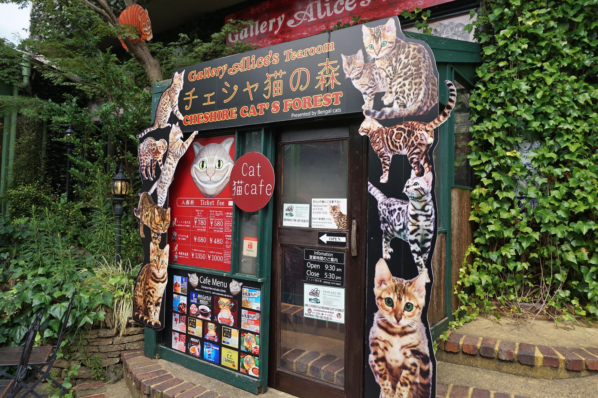 チェシャ猫の森