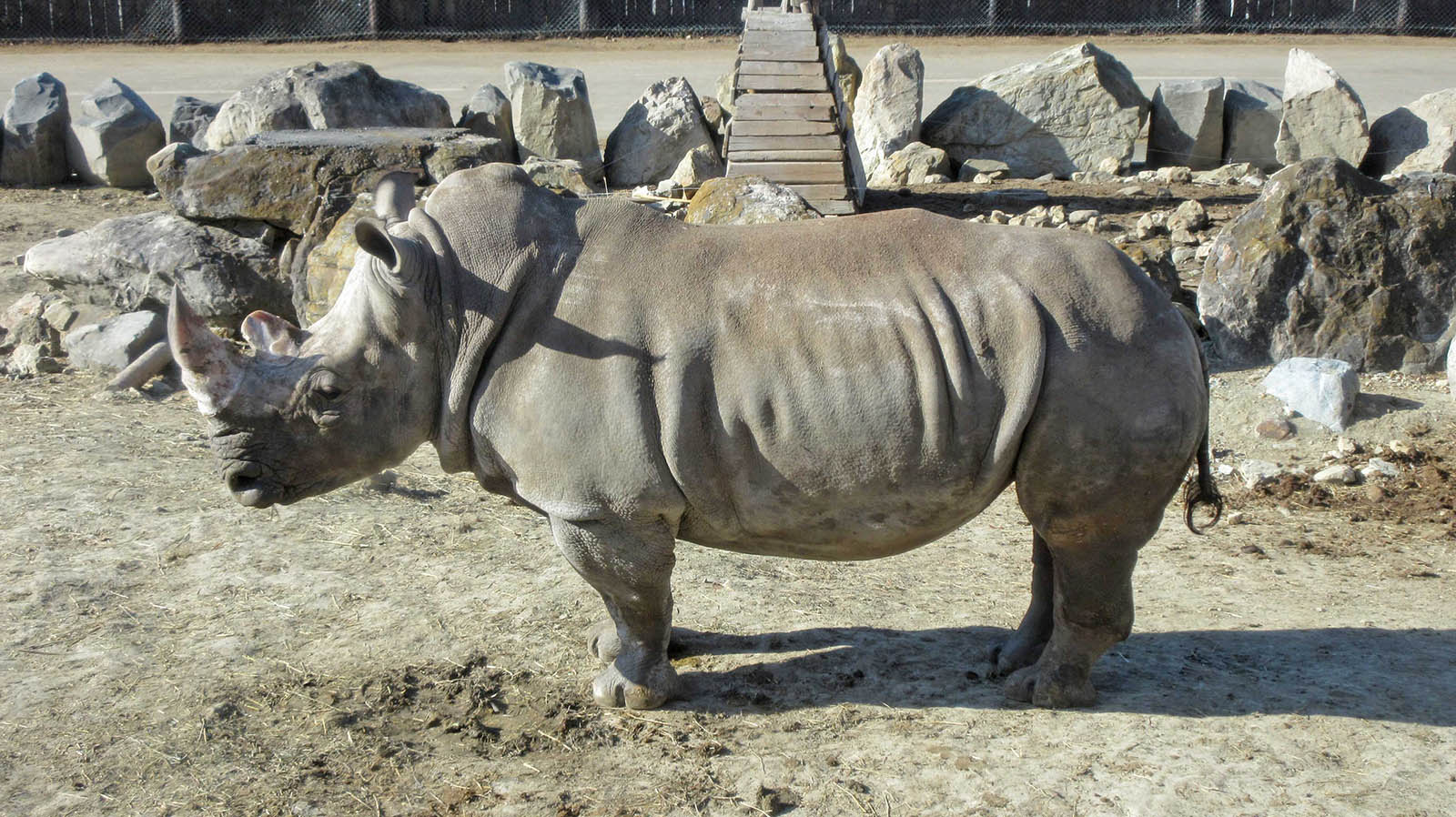 群馬サファリパークとは