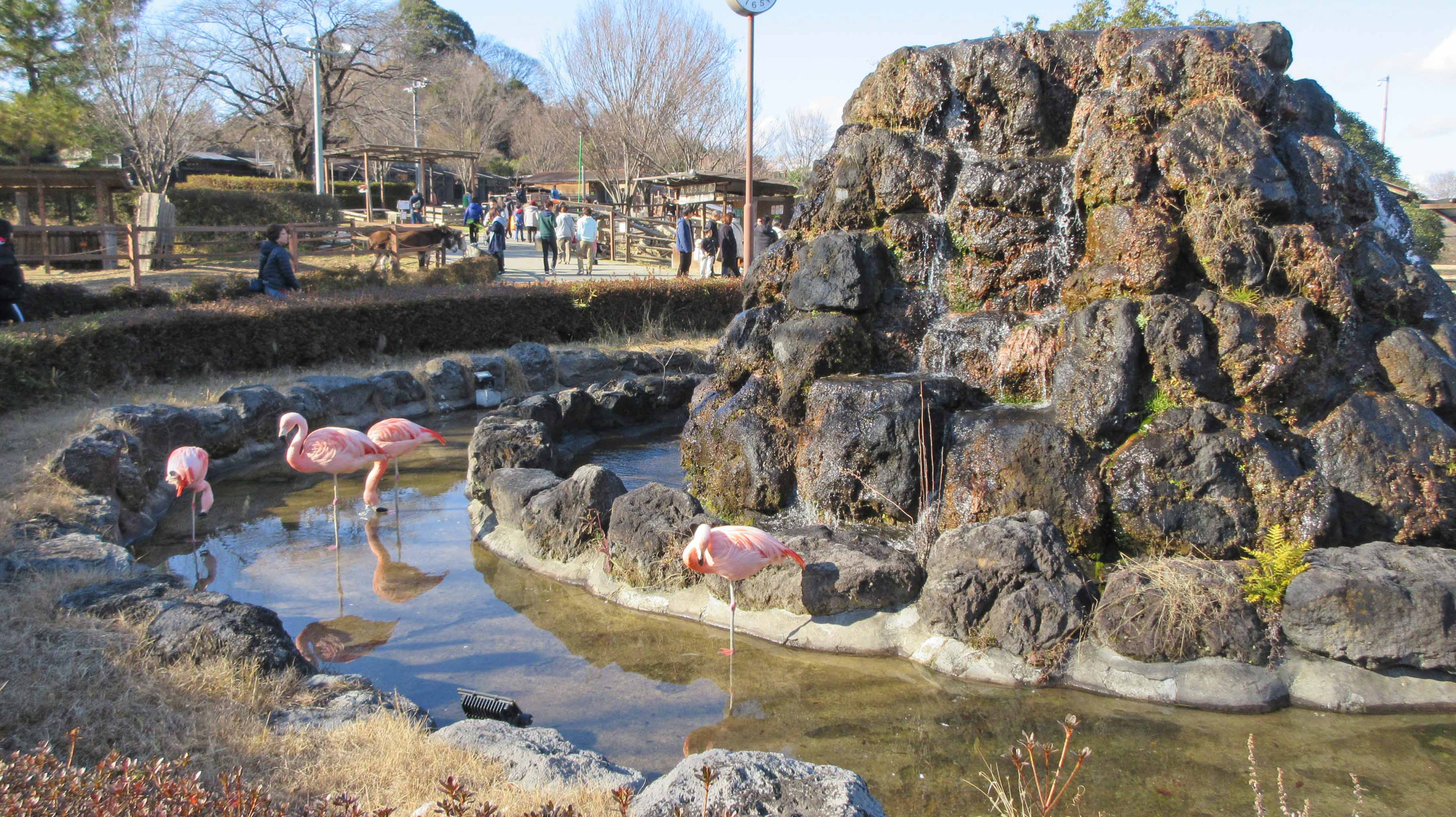 ウォーキングサファリゾーン